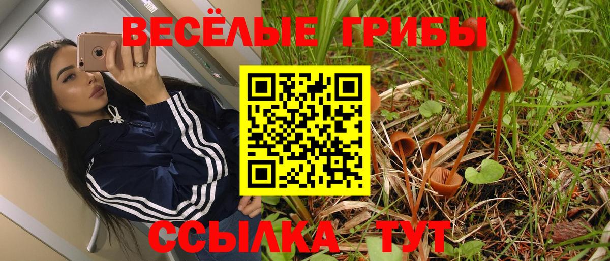 Псилоцибиновые грибы мухоморы Людиново